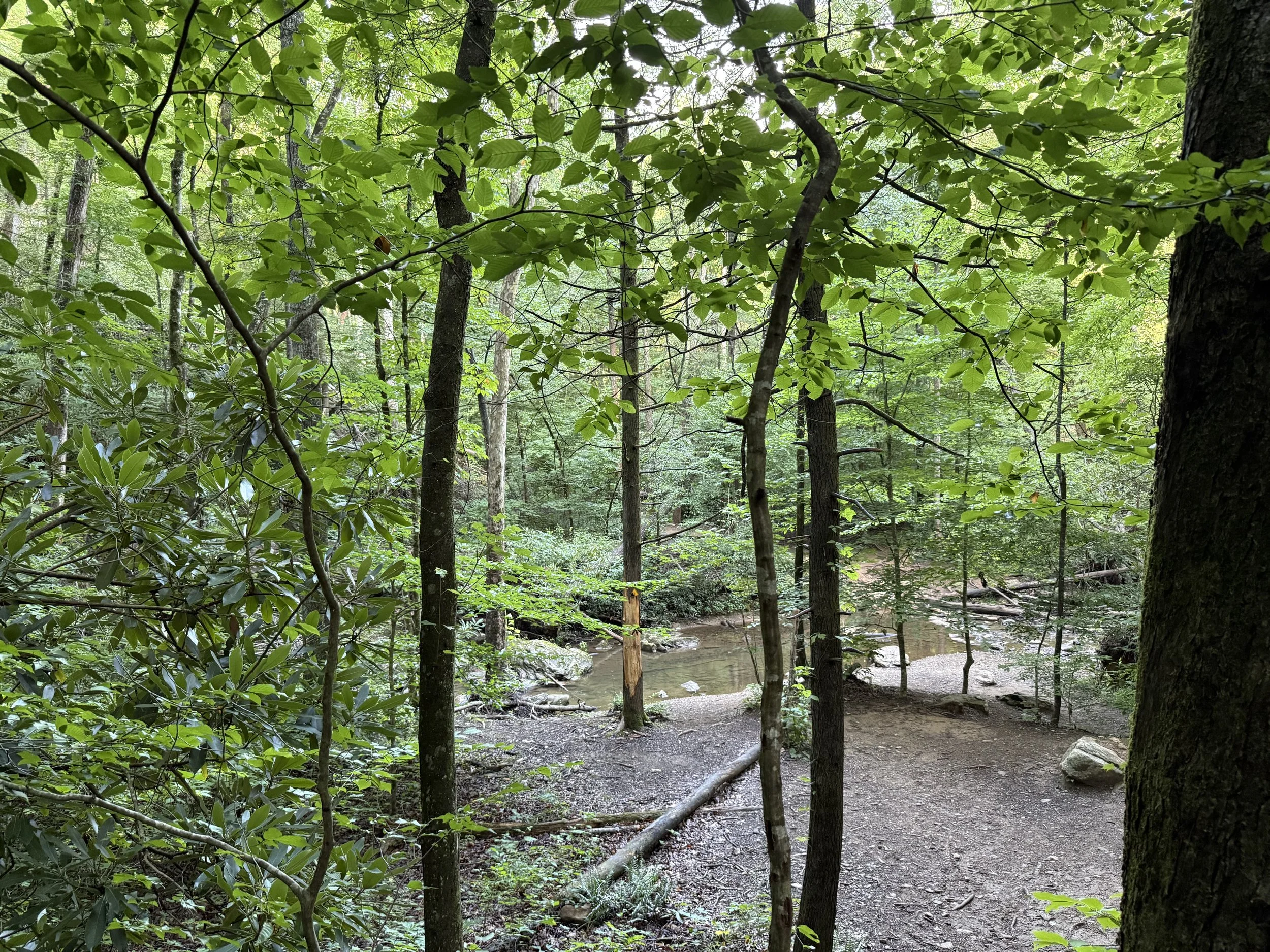 Little Bradley Falls