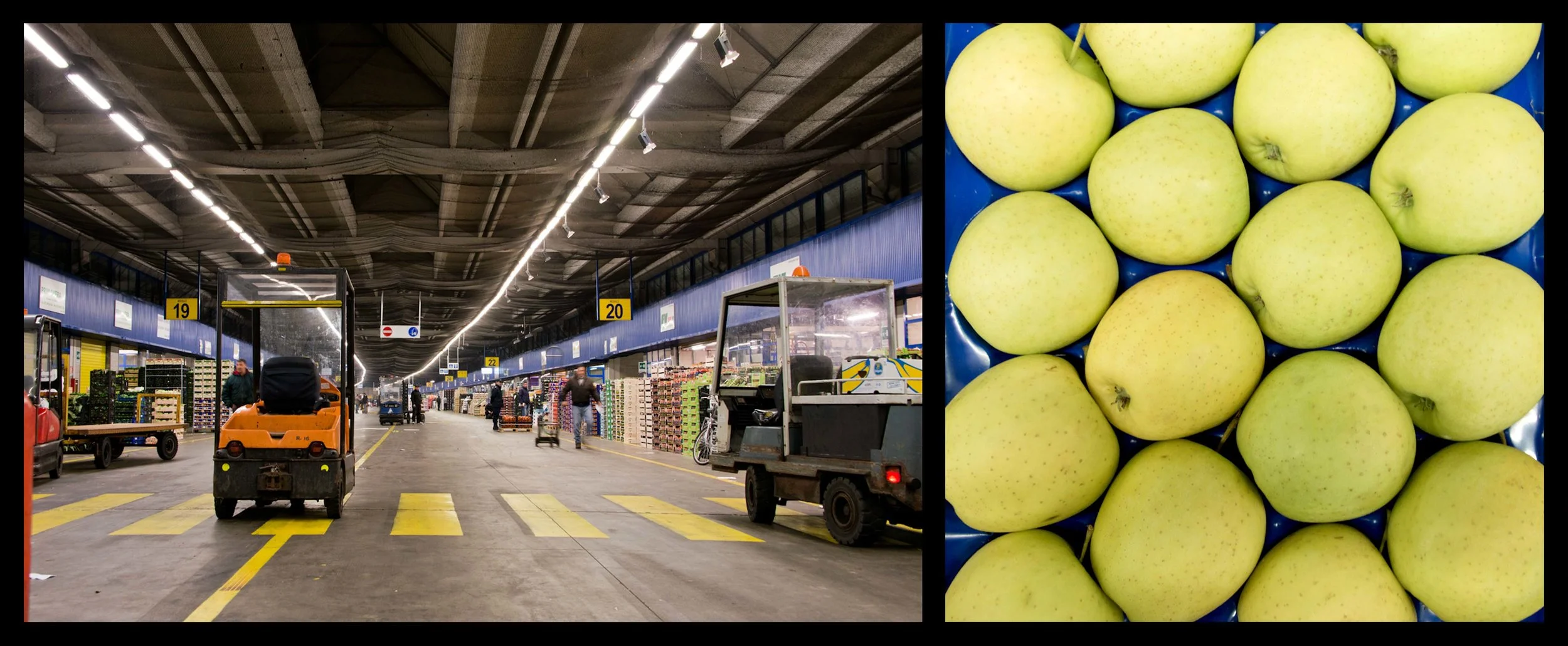 CAAT O - Gerbasi.jpg