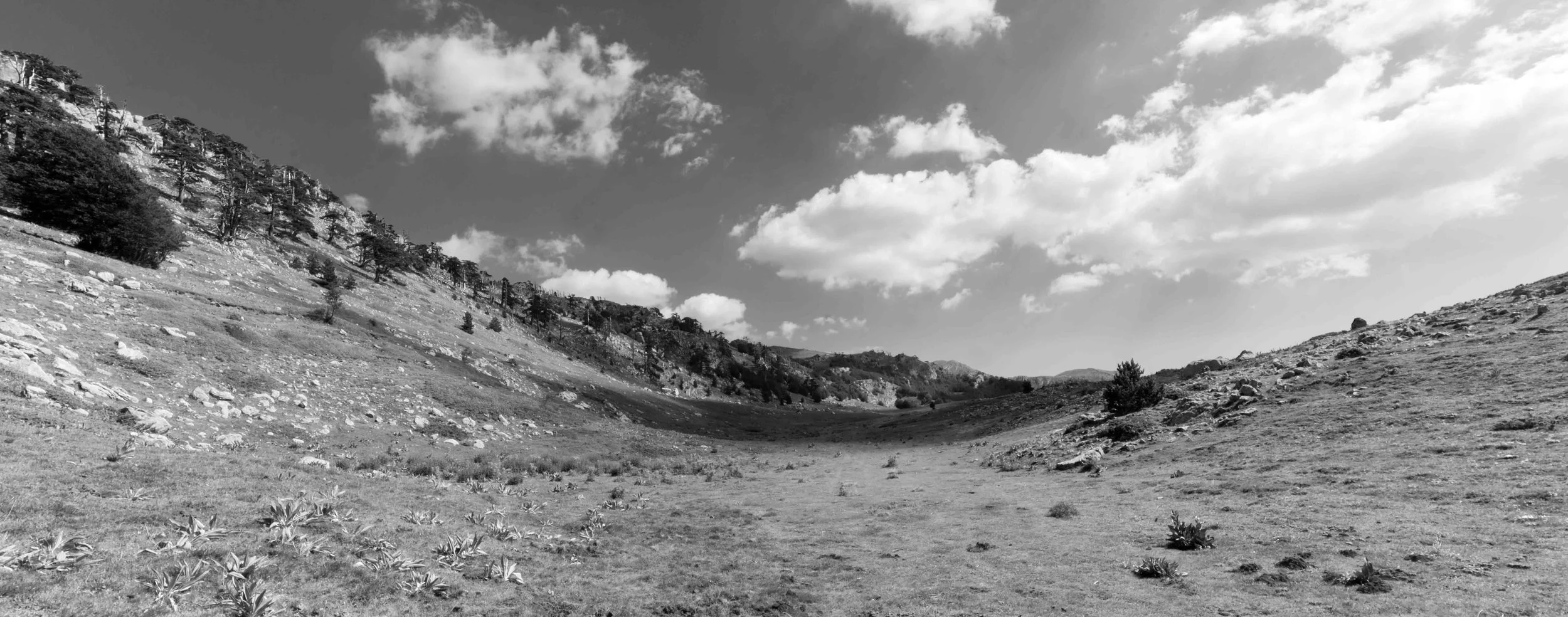 DSC_5482-il terrazzo serra delle ciavole BN-BR.jpg