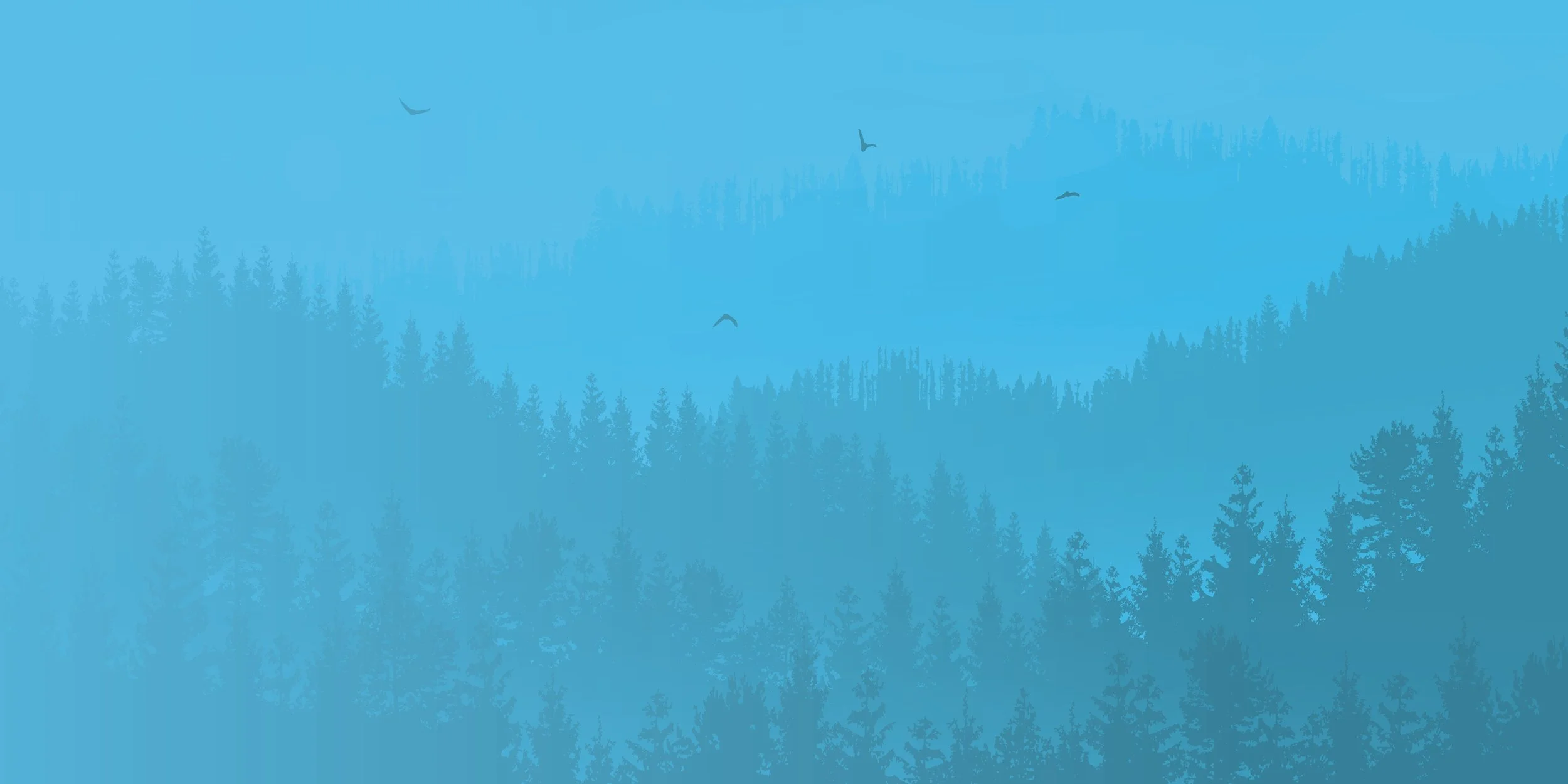 wally heroes-forest.jpg