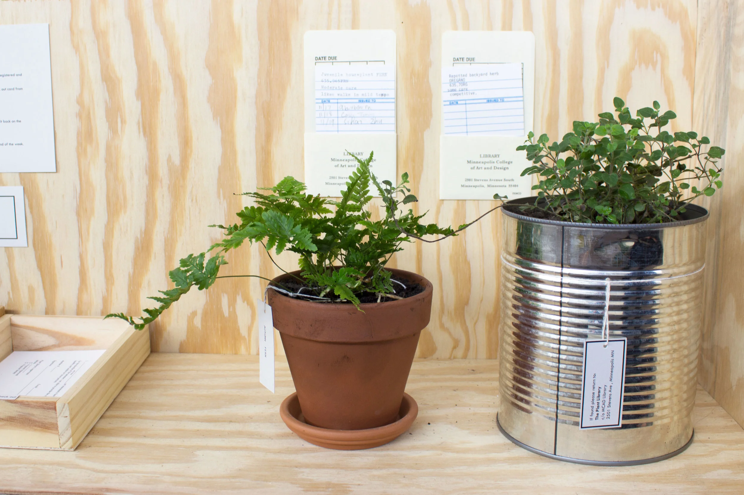 Plant_Library_Edited_2.jpg