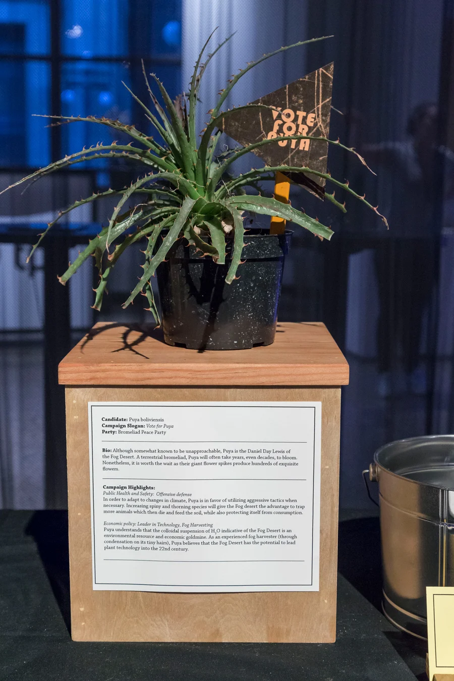 Plant-Election4.jpg