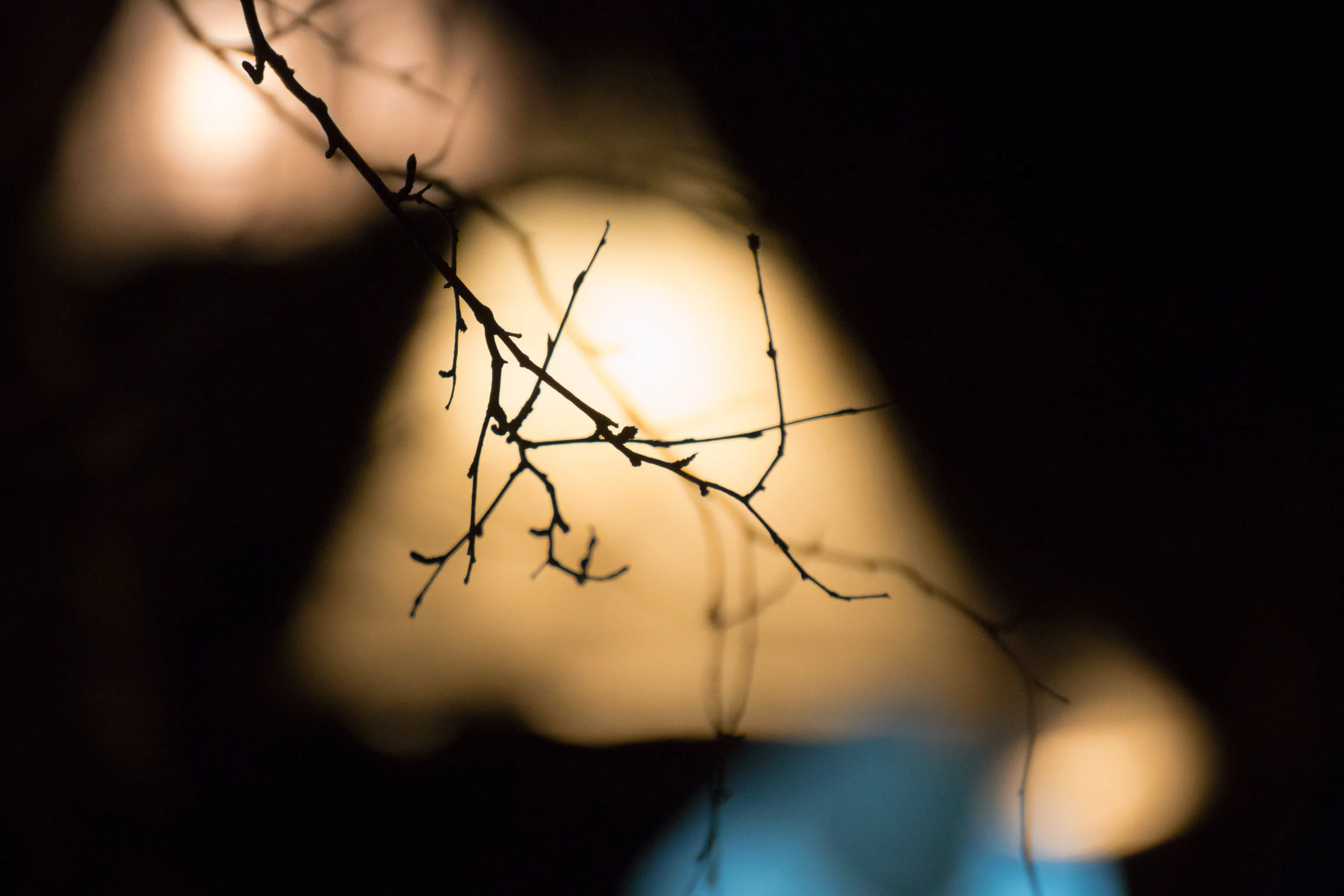 20141121_Valoa_Oulu_3145.jpg
