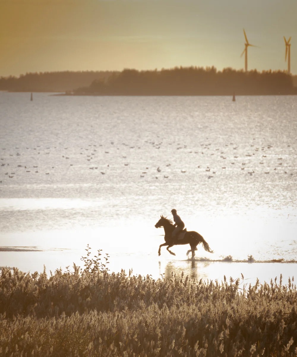 20130917_Ponipiha_Oulu_9131.jpg