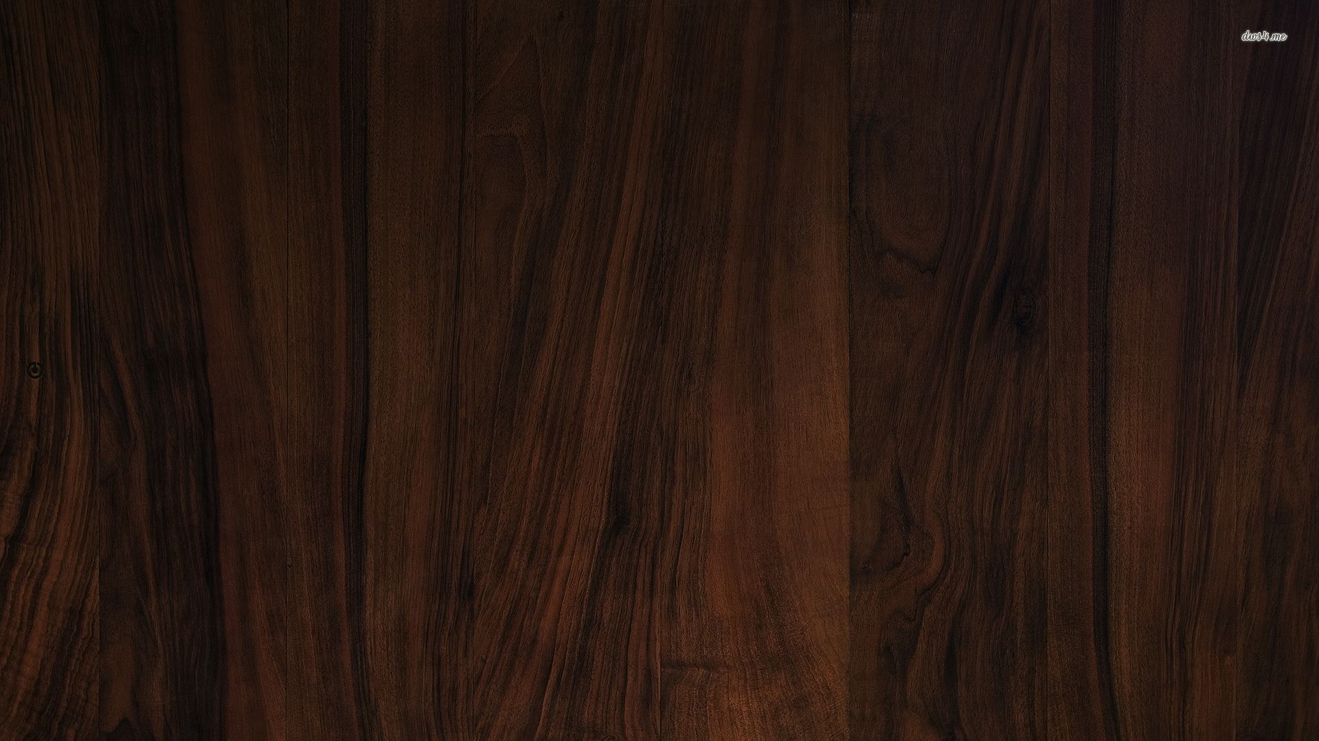 Dark Wood.jpg