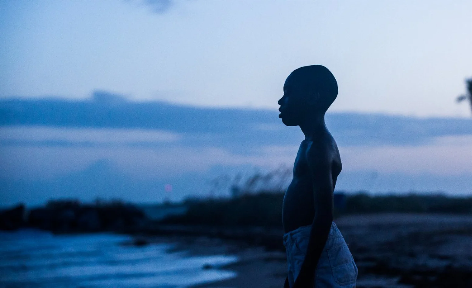 A24