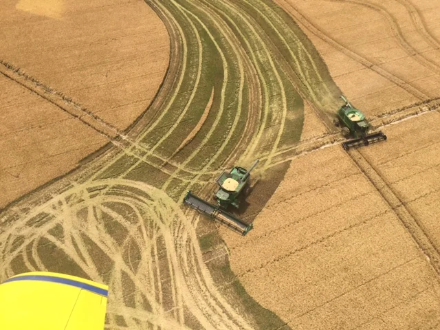 Aerial View of C&C Customer Rice Harvest