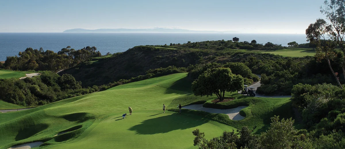 GolfMainPage-SouthHighlight1-1200x520.jpg