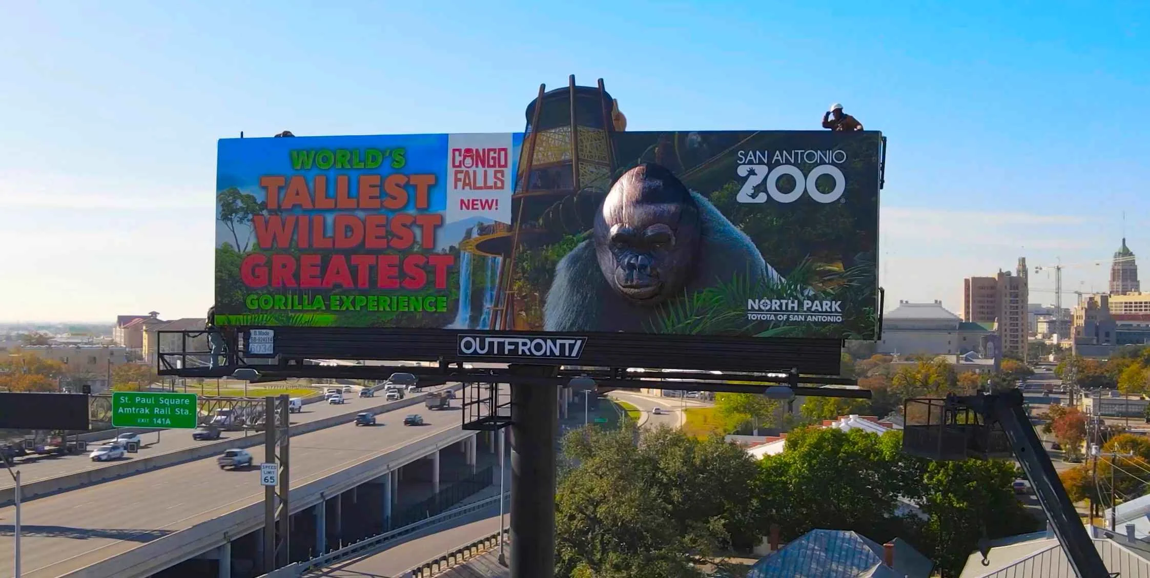 Gorilla_3.jpg