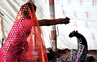 worshipping a 'snake god'?