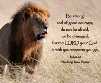 Lion of Judah for site.jpg