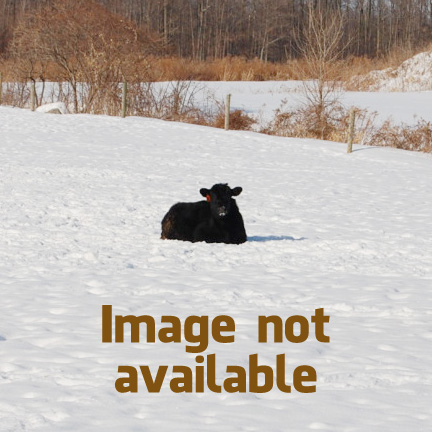 IMAGE-NOT-AVAILABLE.jpg
