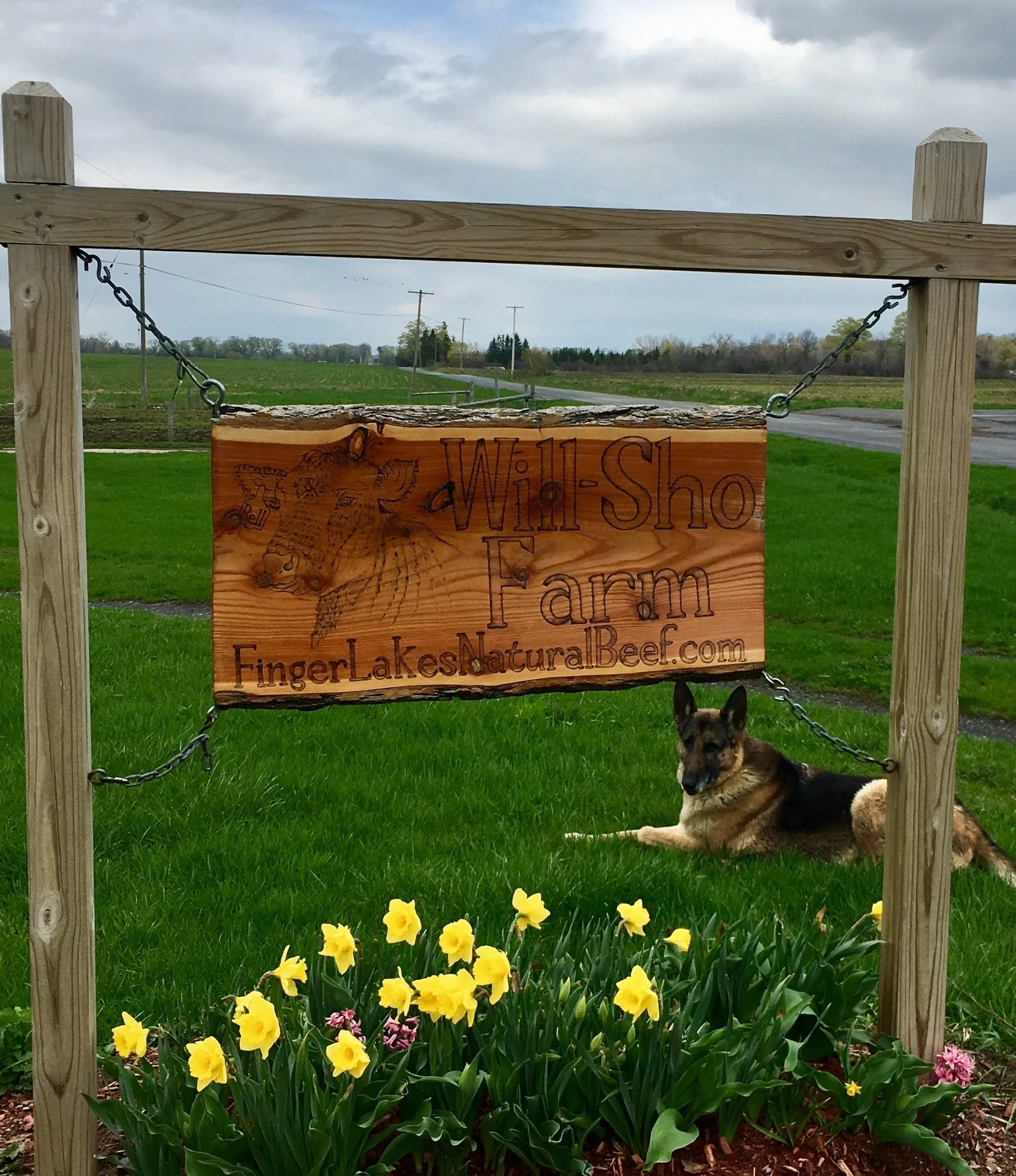 spring farm sign.jpg