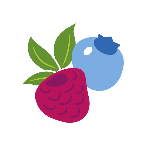 Gartenforscher_Beeren.jpg