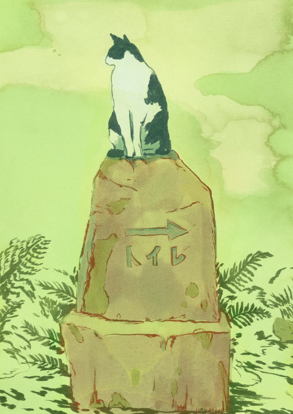 seanlewis_cat.jpg