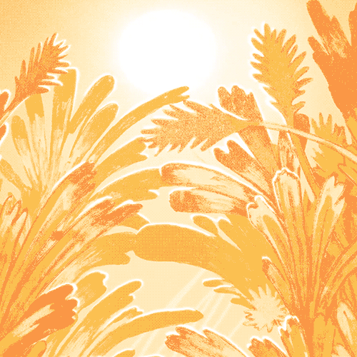 thumbnail1.gif