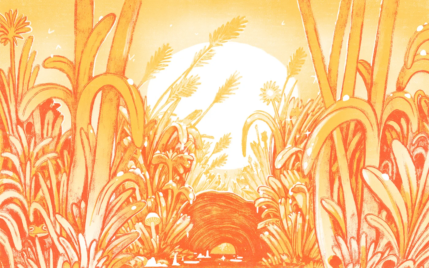 0ditch-frogs-interior-spread.jpg