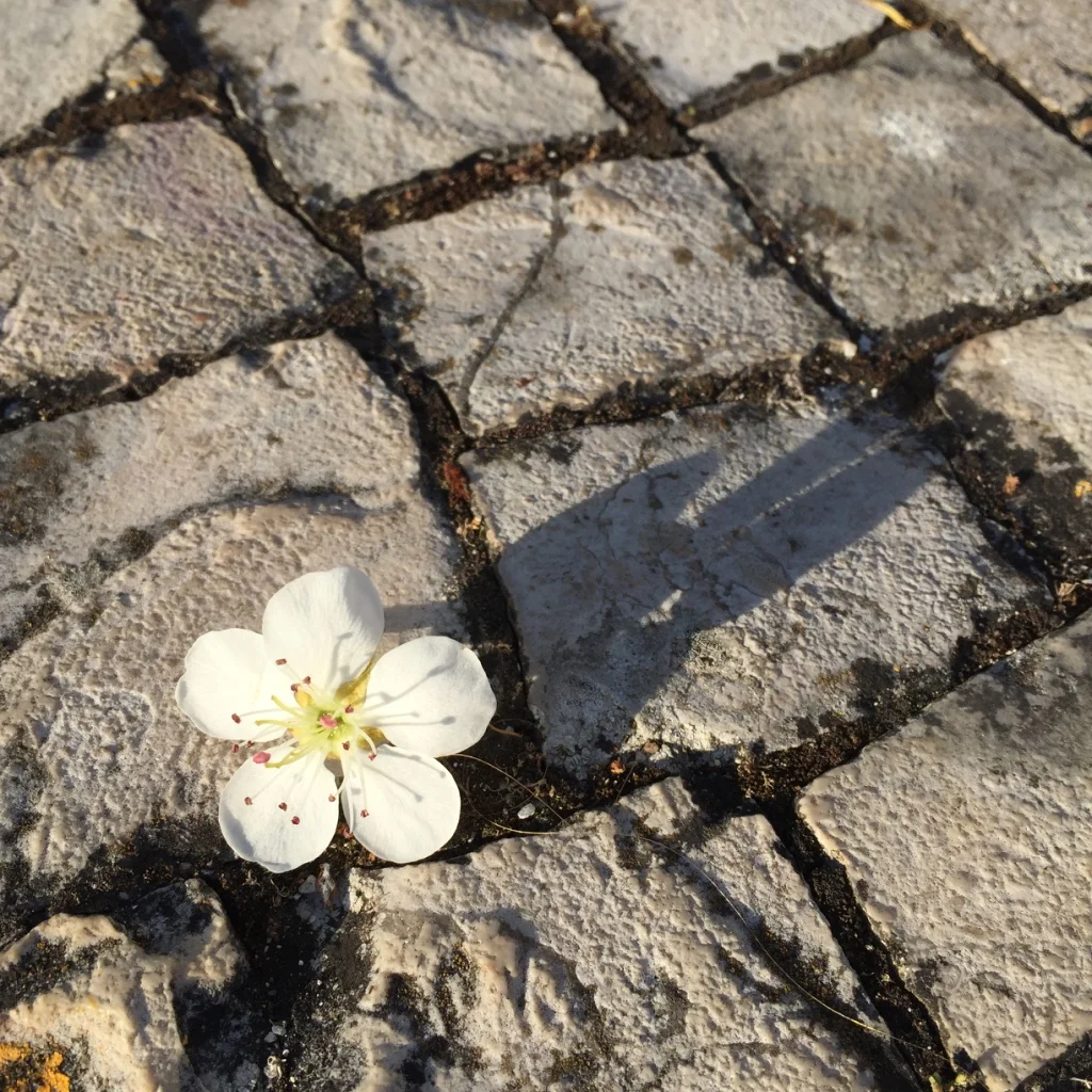 Pedra e Flor. Metal e Madeira. Uma combinação equilibrada.