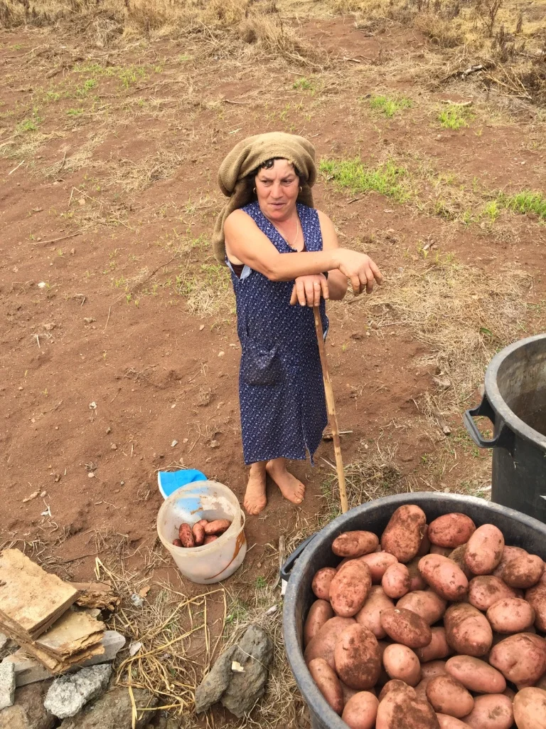 Agricultora da Ilha da Madeira
