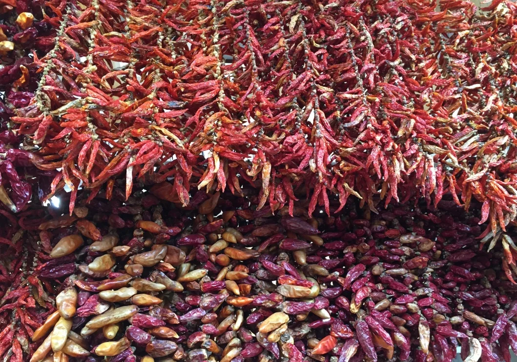 Pimentas do Mercado dos Lavradores, Funchal