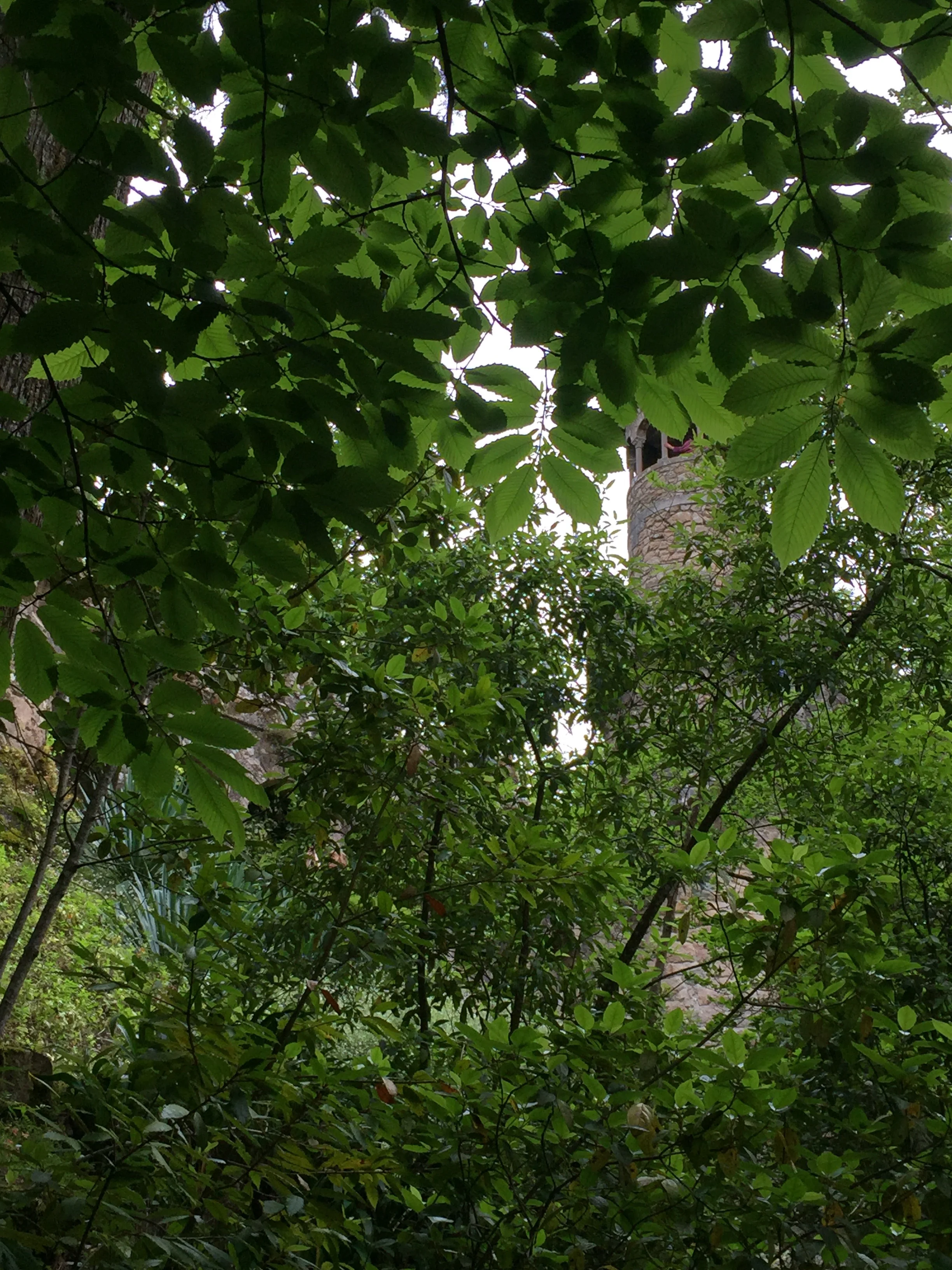 A torre da Regaleira, a "montanha" mais alta, envolta pelo jardim.