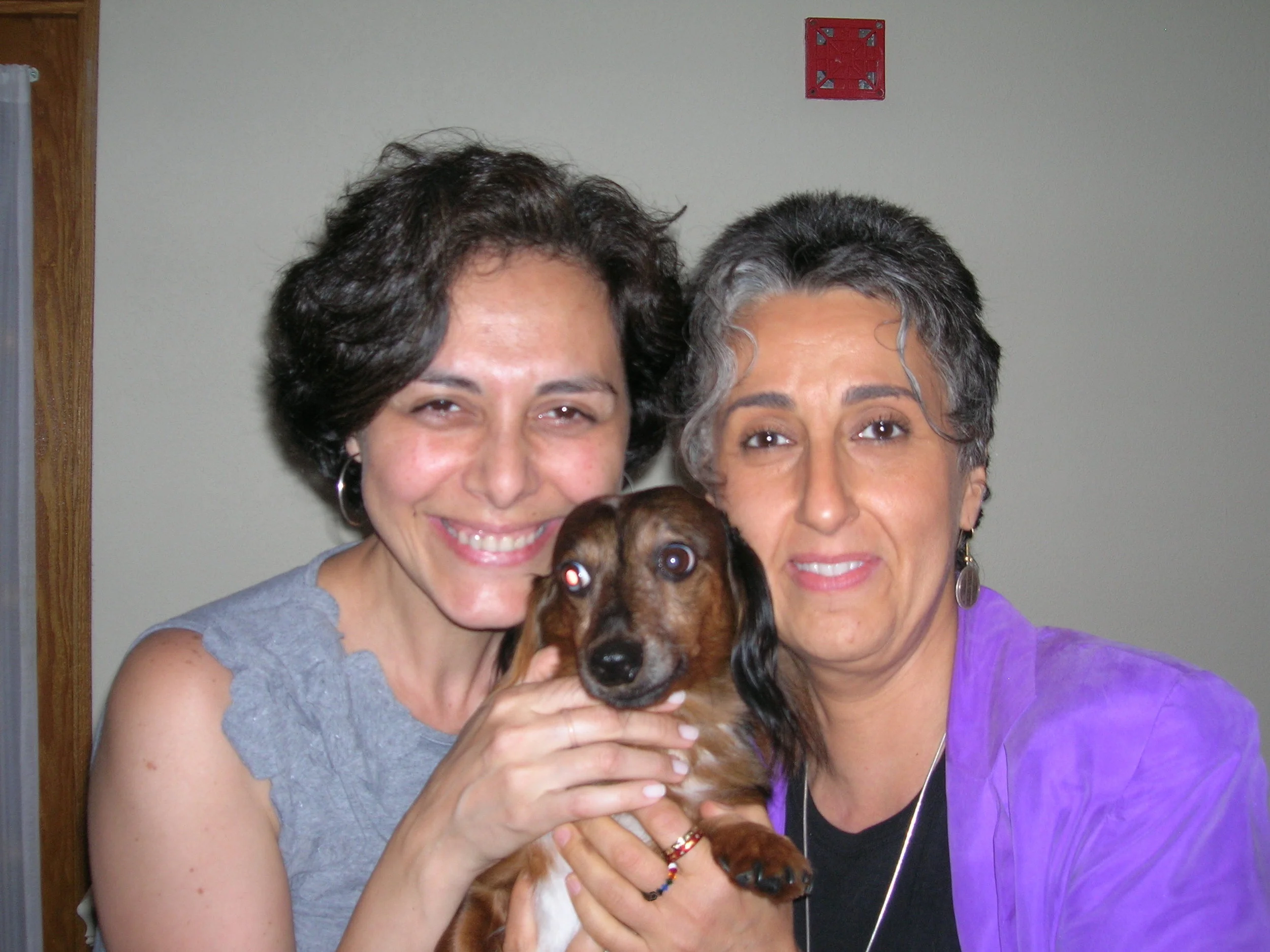 Eu já estava no final da jornada, longe de casa há quase 20 dias…Saudades do marido, da família e da minha cachorrinha Guida. Acho que o dash Oreon, da querida Nanci SantoPietro, percebeu e veio me fazer um carinho!
