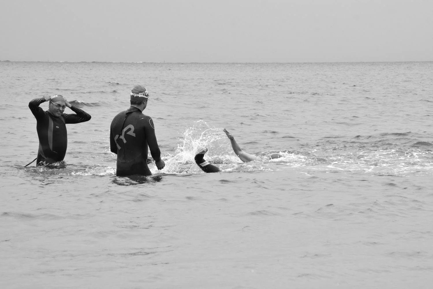 DSC_2596.jpg