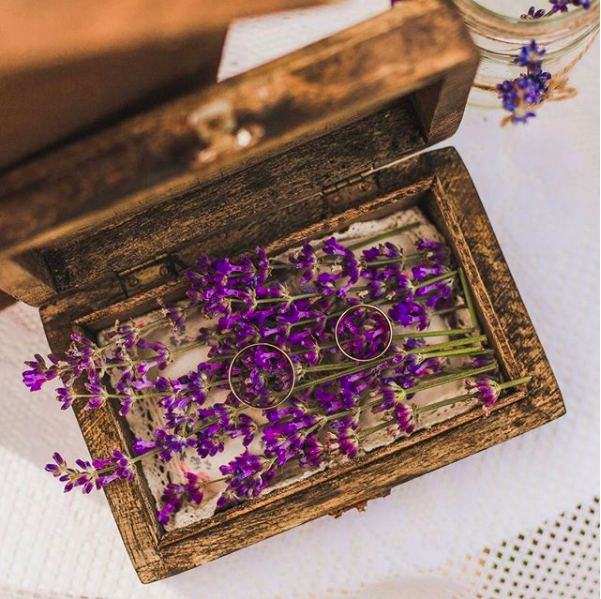 Photo by bridegoeswild 2018 via Andrii Oleksiienko - stock.adobe.com