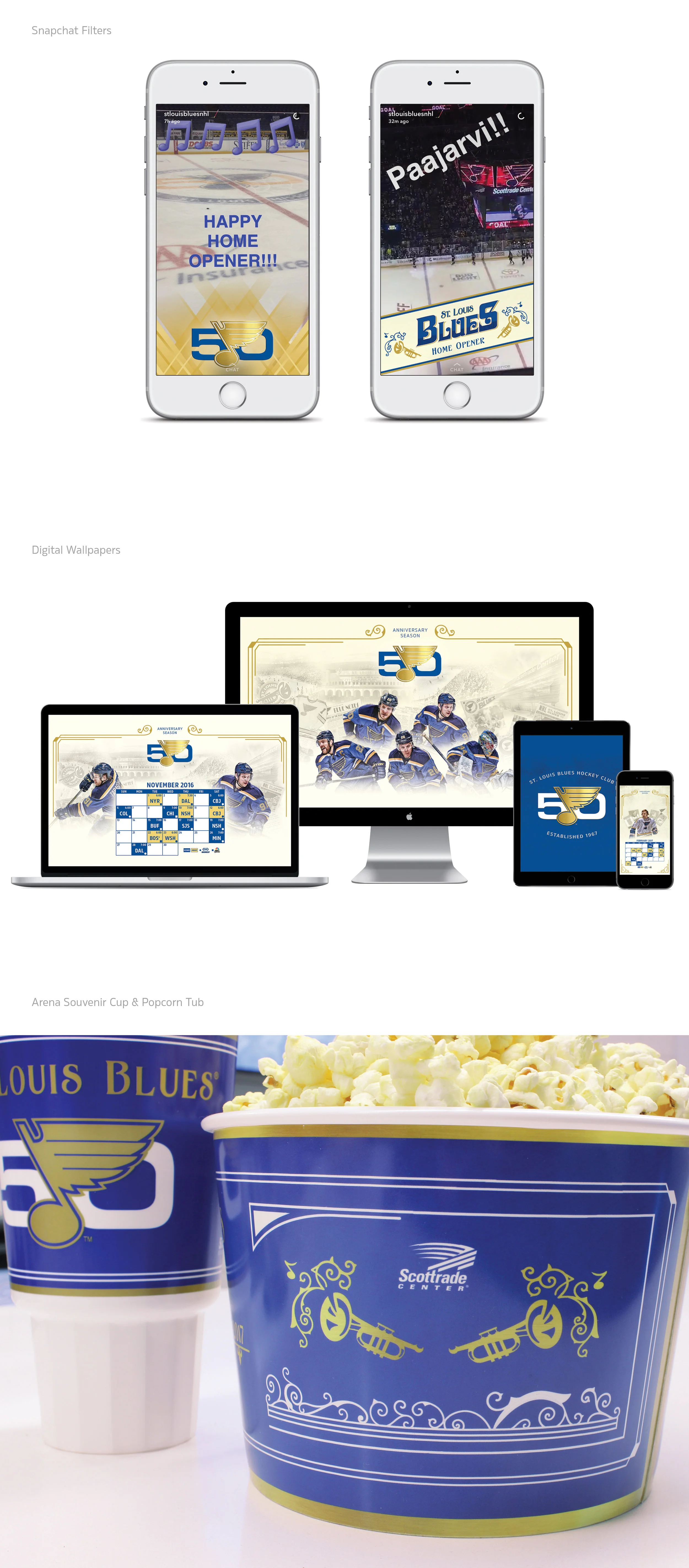 Campaign-Layout_3.jpg