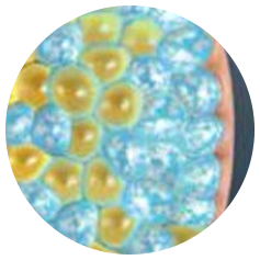 CoolSculpting technology uses controlled cooling to target and kill only these fat cells.