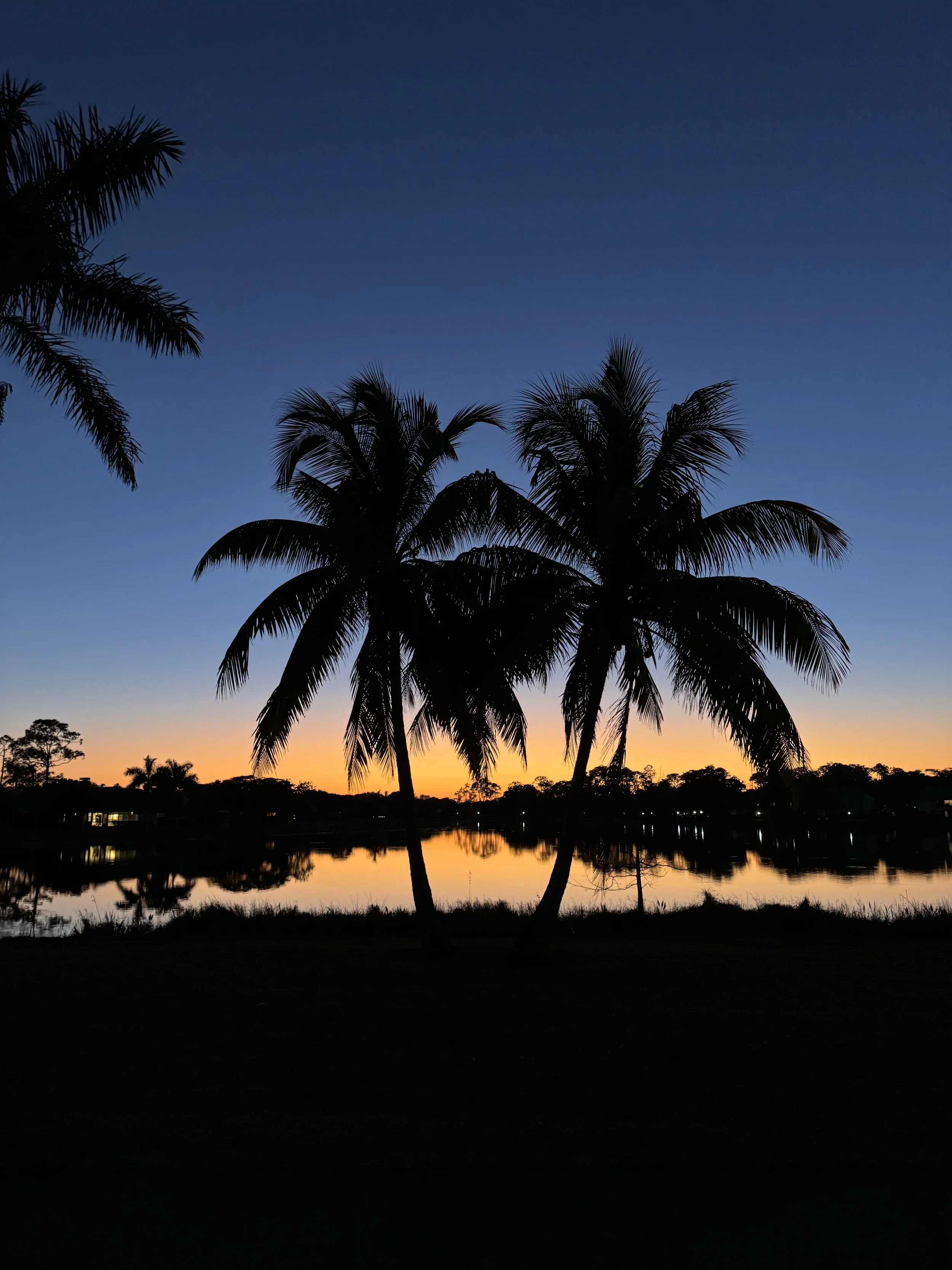 twin_palms_orange copy.jpg
