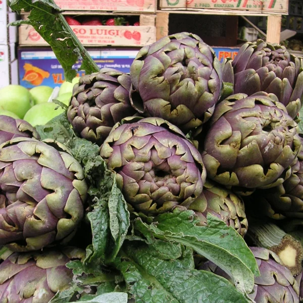 artichoke.jpg