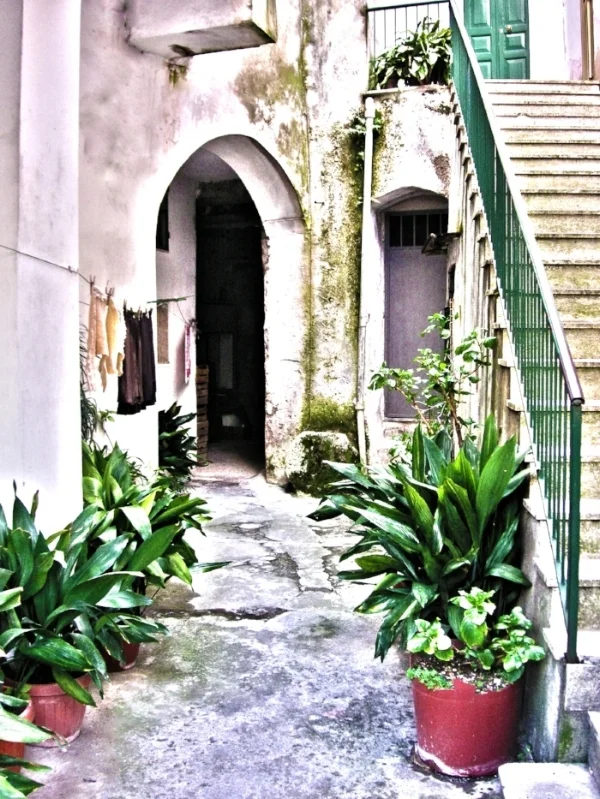 PICT0063A.jpg