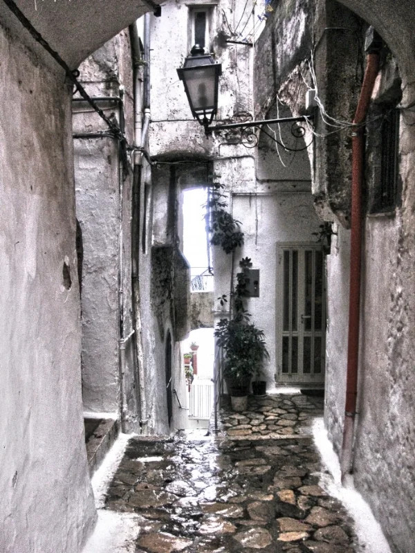 PICT0076_1A.jpg