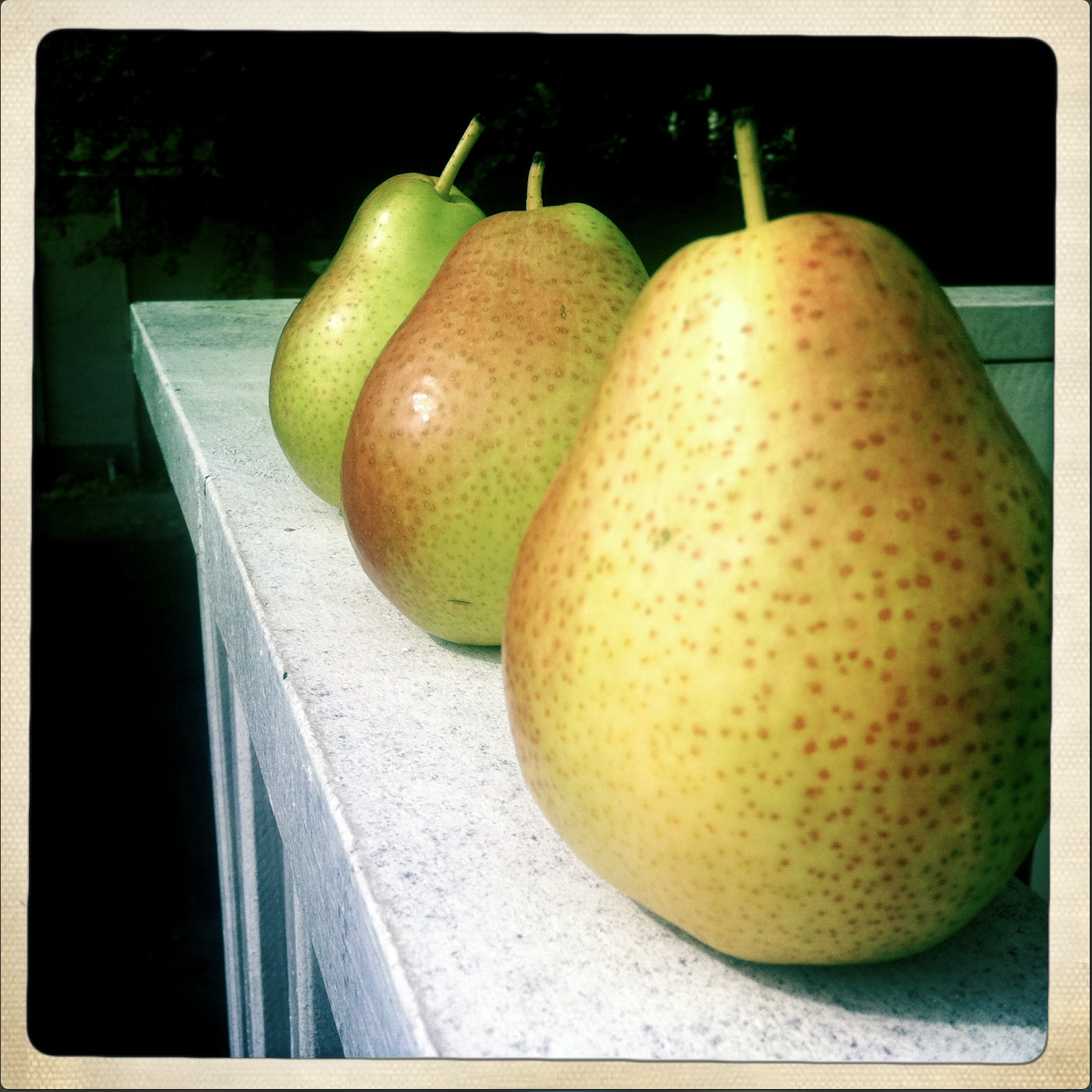 Pears_small.png