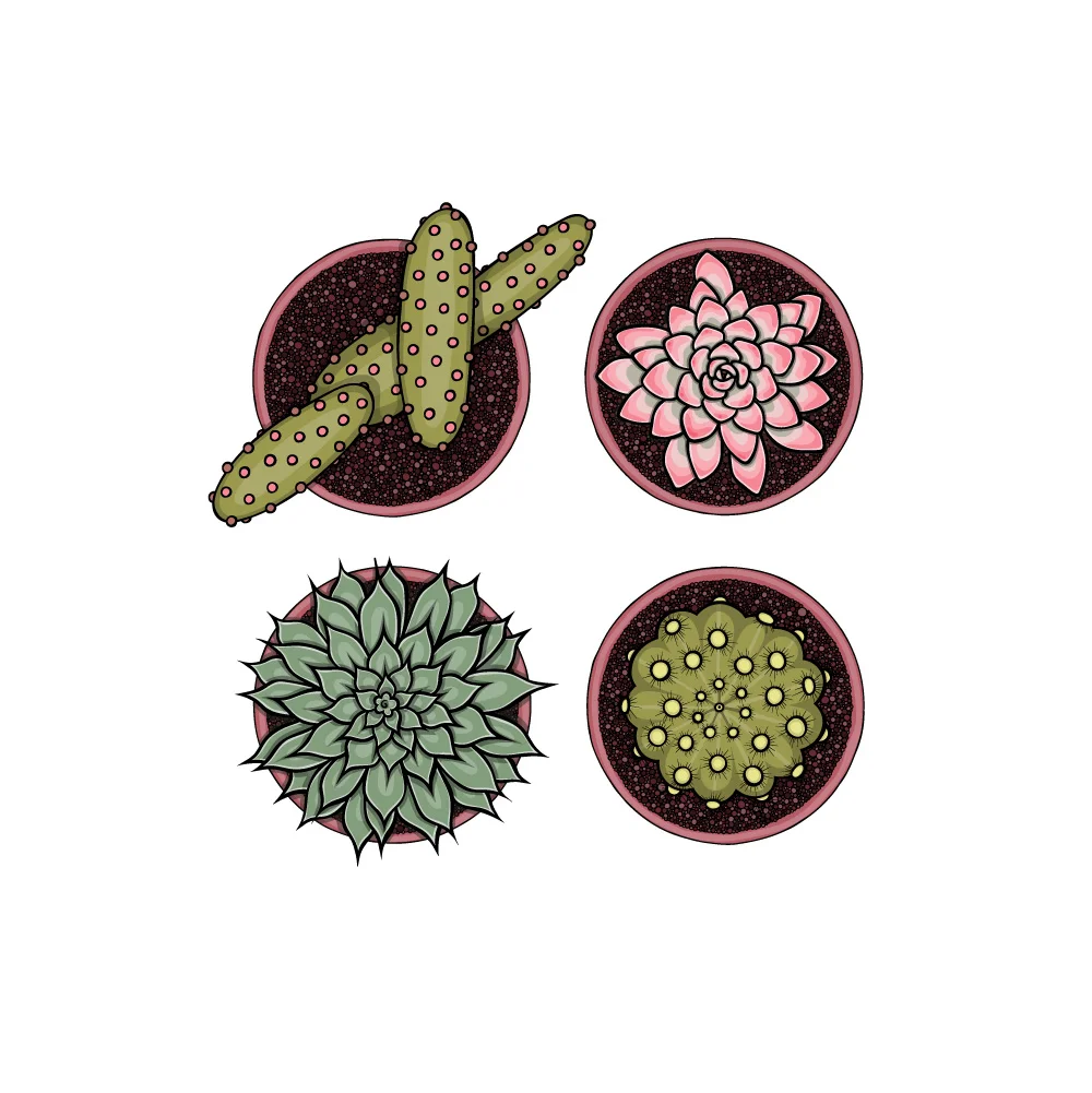 cactus-cover-2.jpg