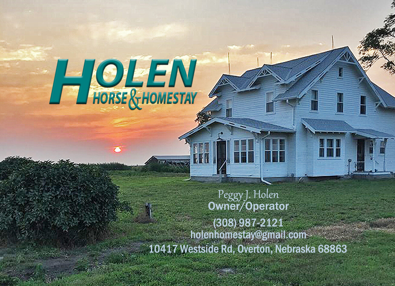 Holen Horse & Homestay Postcard (Front)