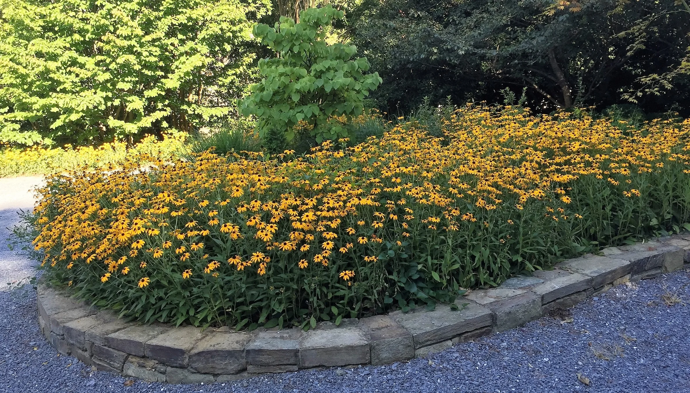 iPhone Photos 2017-01 1754.JPG