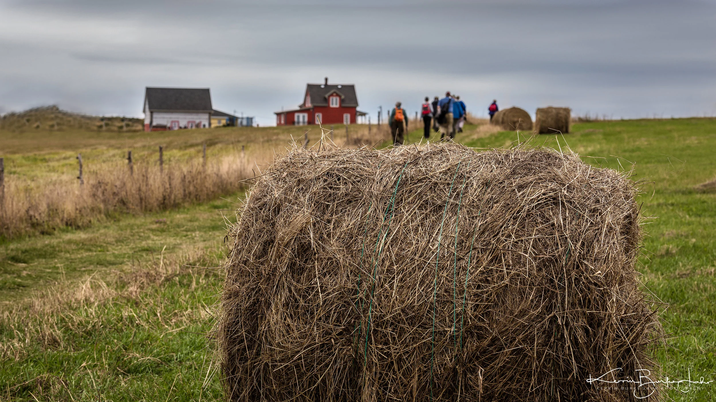 Iles-de-la-Madeleine,-Quebec-9-17-2017-76.jpg