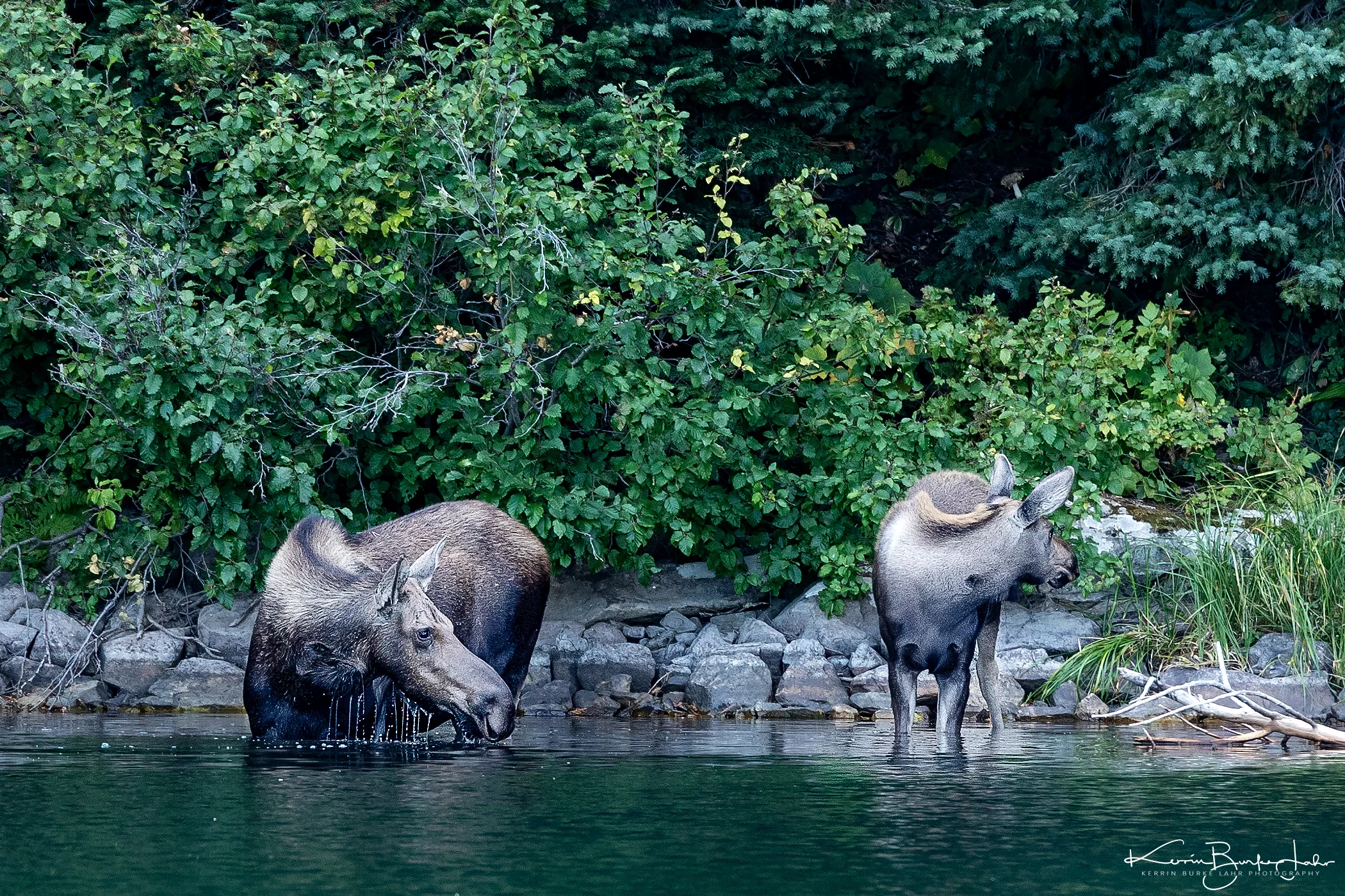 Glacier National Park