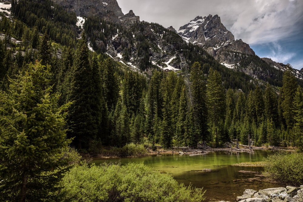 YNP Grand Tetons June 2021-419.jpg