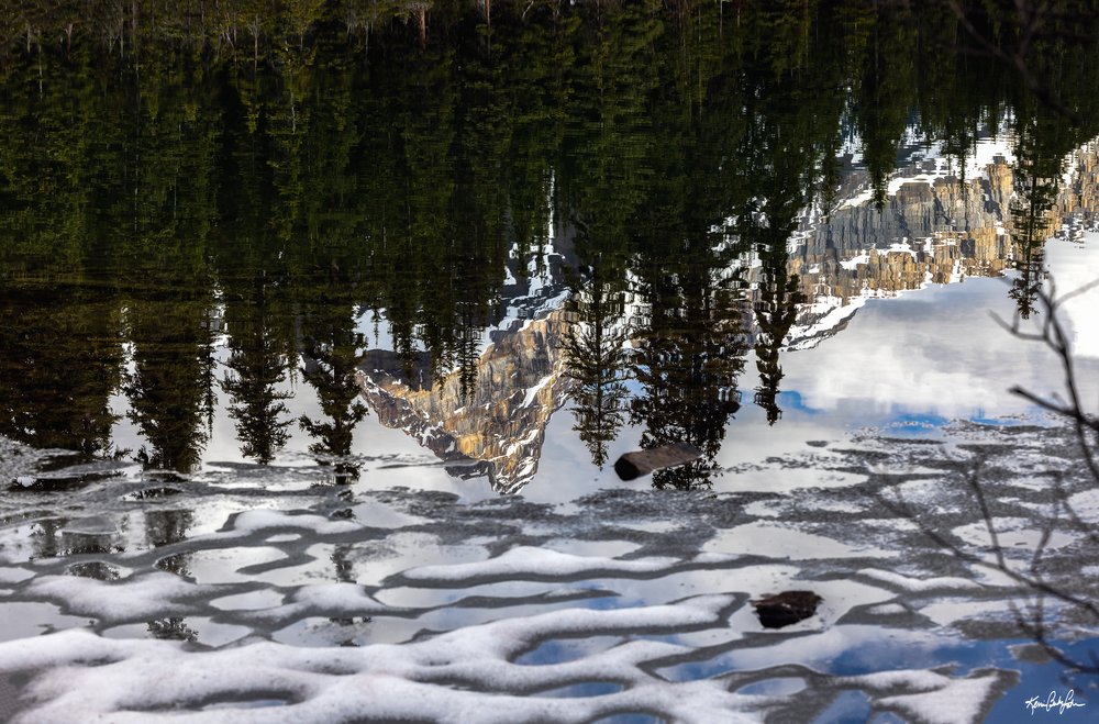 Lake OHara 6 18 2022-23.jpg