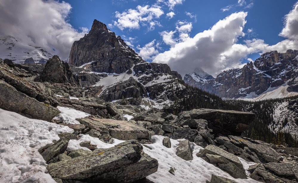 Lake OHara 6 18 2022-113-Edit.jpg