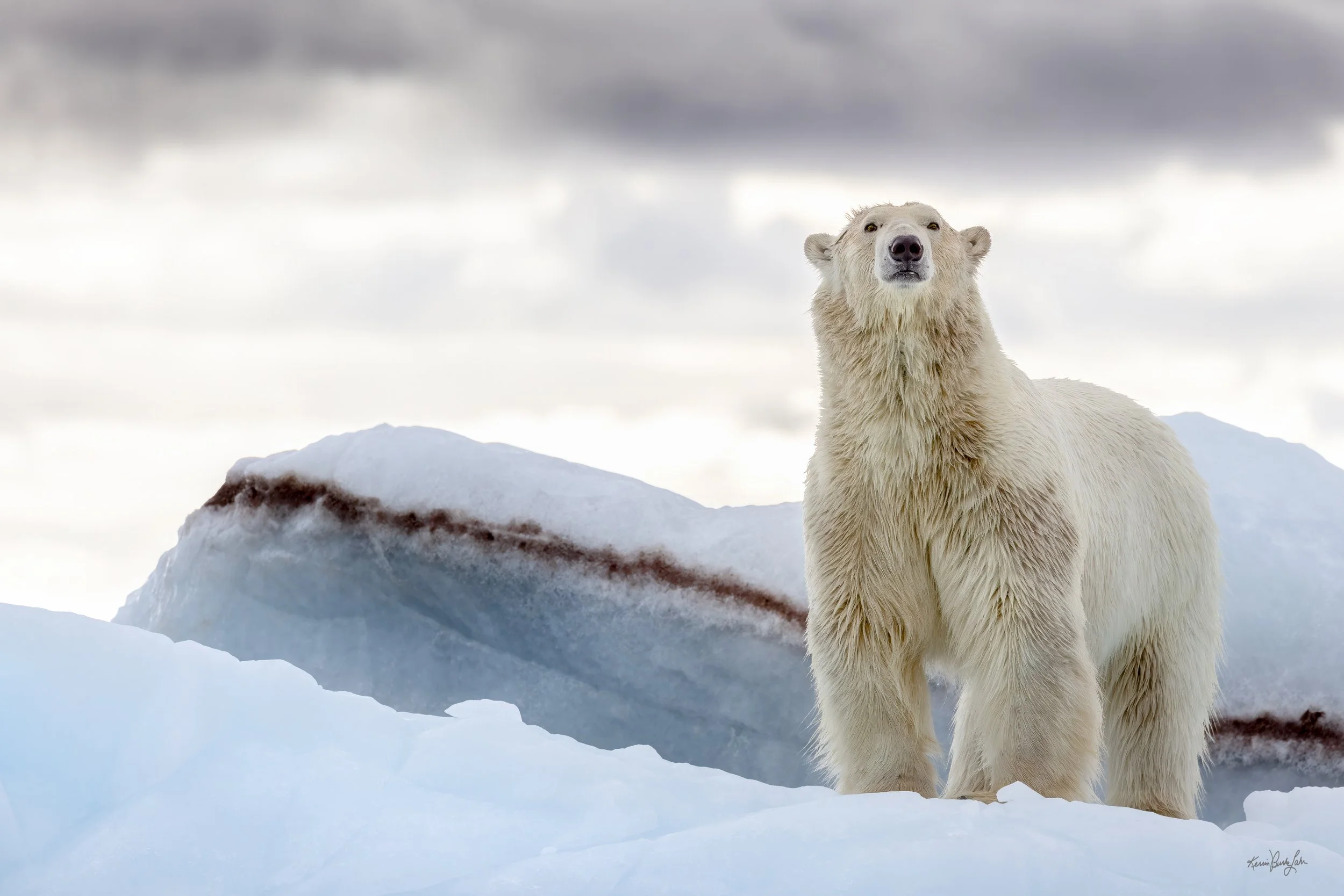 Svalbard 7 9 2024-743.jpg