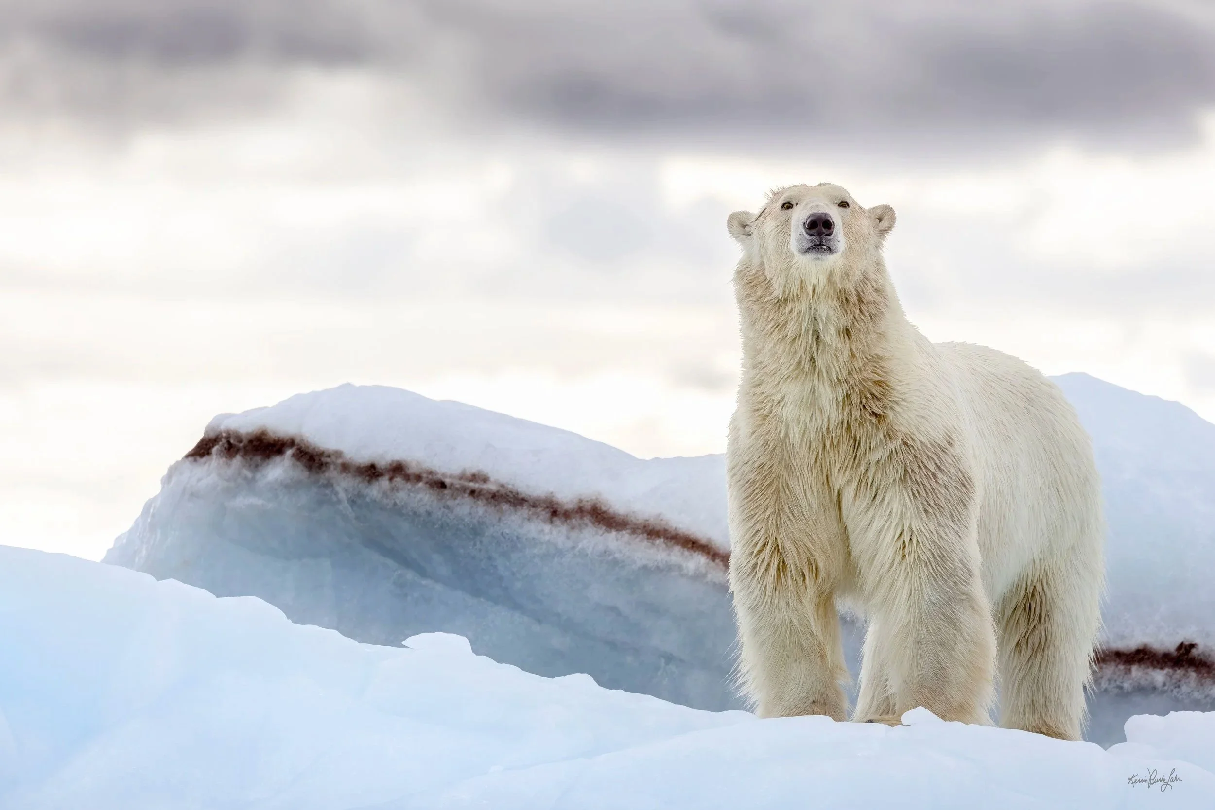 SVALBARD | TOP OF THE WORLD