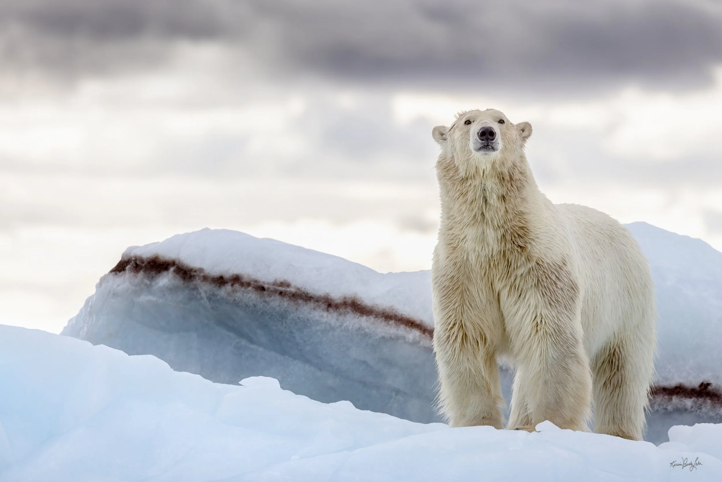 Svalbard 7 9 2024-743.jpg