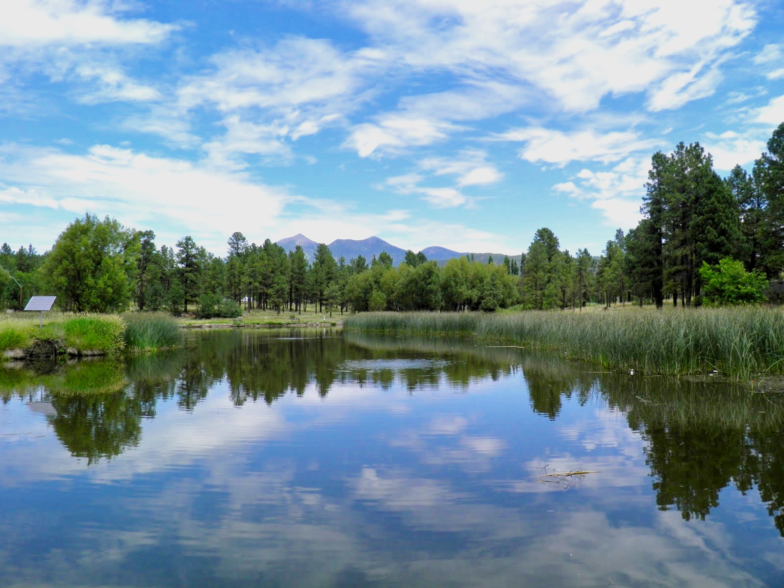 7+29+11+Pond.jpg