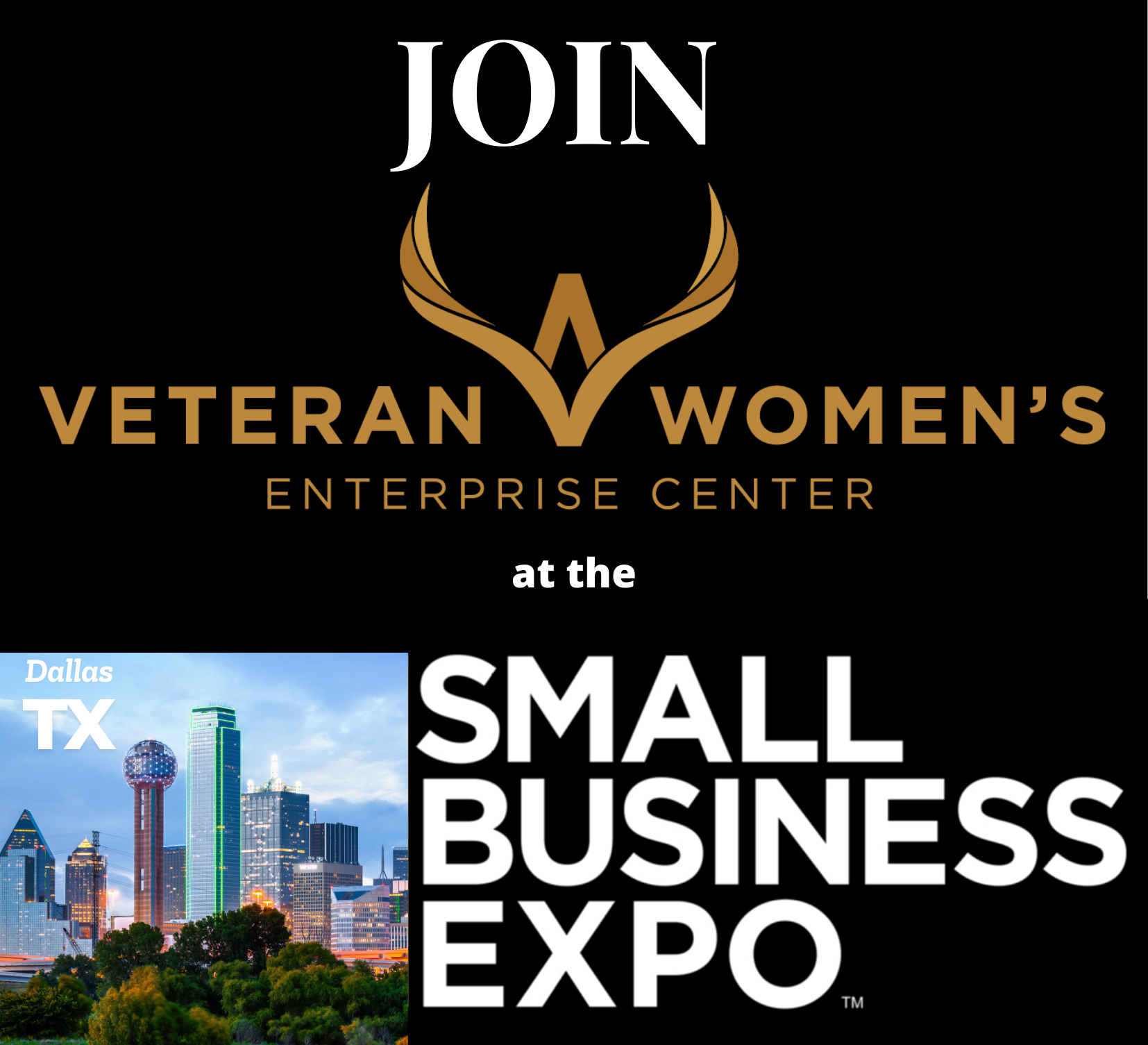 VWEC DALLAS SMALL BUSINESS EXPO TOUR