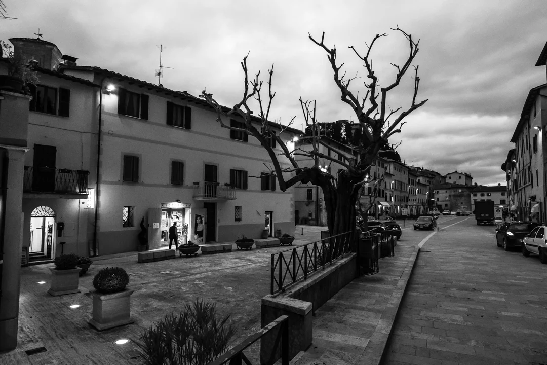 XPRO1251.jpg
