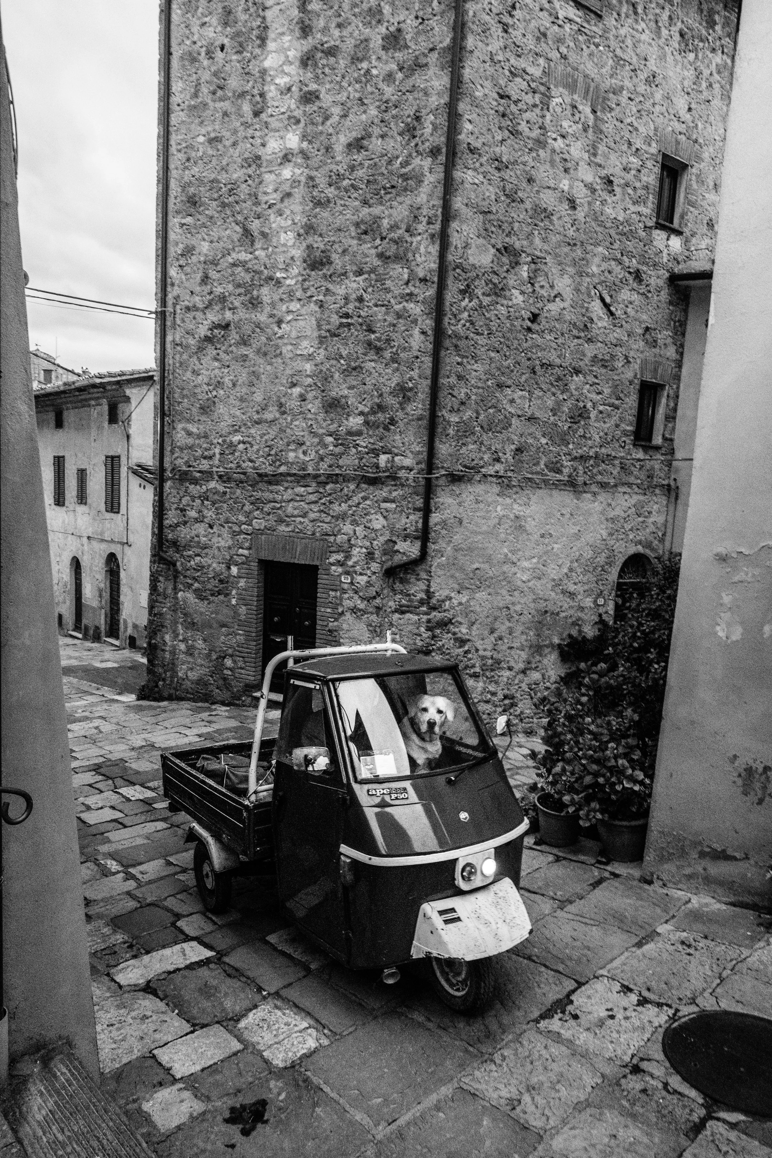 XPRO1249.jpg